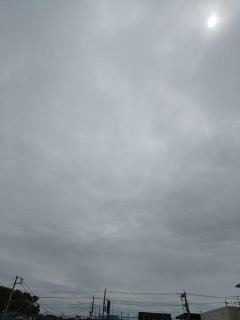 今日は日が見える事がある曇り。