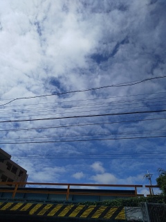 今日は晴れ。