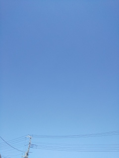 散歩してたら雲がなくっちゃった。