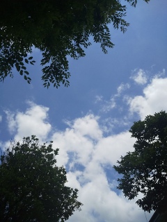 今日は晴れ。