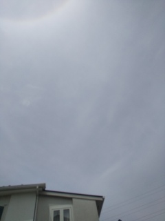 今日は晴れ。