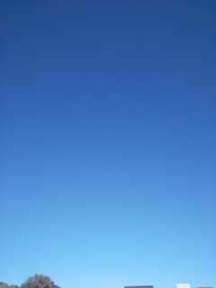今日は晴れ。