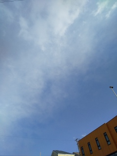 今日も晴れ。