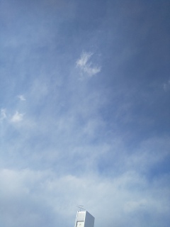 今日も晴れ。