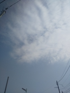 今日も晴れ。