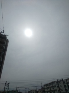 今日も曇り。
