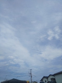 今日は晴れ。