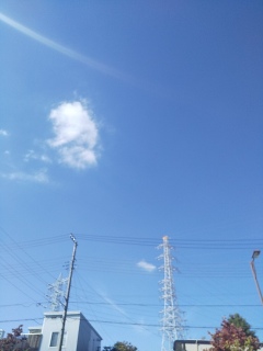 今日は晴れ。