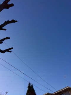 今日も晴れ。
