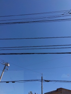 今日は晴れ。
