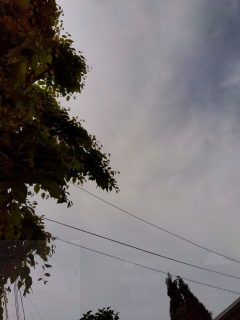 ͓܂肬݂ȐB
