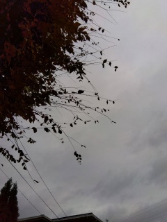 ܂