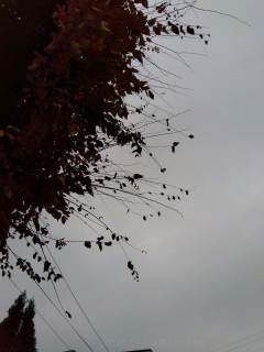 ほんの少しだけ霧雨