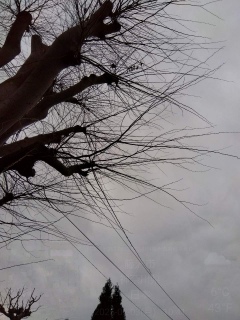 ܂