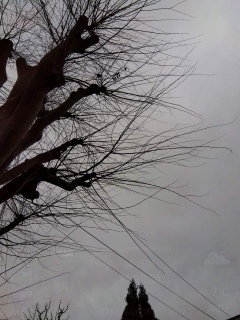 ܂