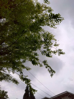 ܂