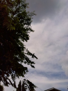 ܂