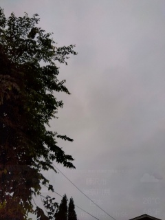 ܂
