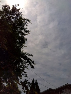܂