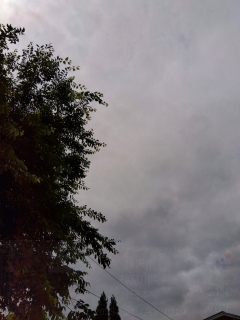܂