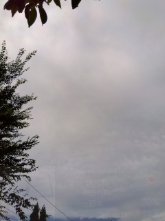 �قƂ�Ǔ܂�Ȑ���