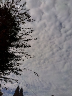 ���ꂻ���ȓ܂�