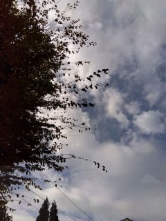 ����Ԃ�����܂�