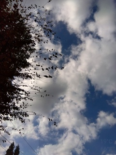 �܂肪���Ȑ���