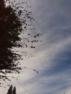 �܂���ۂ�����