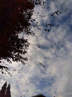 �_����������B