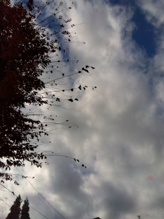 �_����������