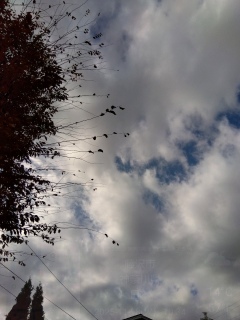 �_����������