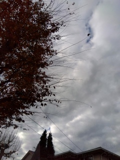 �����͓܂�B