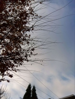 �܂���ۂ�����