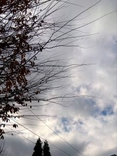 �_����������