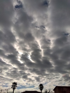 �_����������