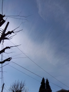 �����͐���B