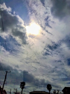 �_����������