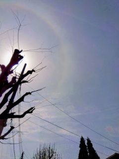 ���܂�Ȑ���B