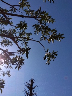 ����������B