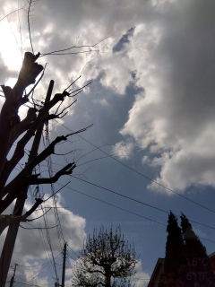 �_����������B