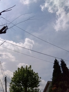 �_����������