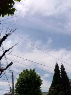 �_����������